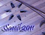 saeed2011 آواتار ها
